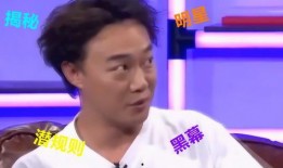 娱乐圈12点爆料,揭秘明星幕后真相与幕后黑幕