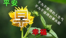 早安最新爆料图片大全,最新图片大全揭秘瞬间