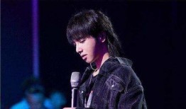 娱乐圈吃瓜华晨宇是谁啊,娱乐圈的“吃瓜”焦点人物