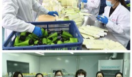 8个医护人员爆料视频完整版,疫情下的生死较量与坚守