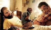 宿醉2未删减在线观看,未删减版，全程笑料满满，在线观看狂欢不停