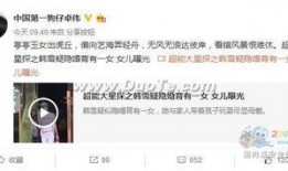 卓伟爆料的视频链接,揭秘视频背后的惊人真相