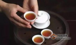 热点爆料泡茶怎么做的视频,一招掌握茶艺精髓