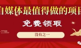 爆料能赚多少钱啊视频,揭秘“爆料赚钱”视频背后的收益秘密