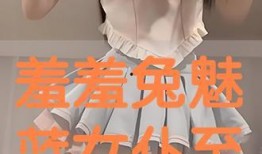 女仆在线观看,在线观看，揭开神秘面纱