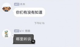 圈内爆料直播平台,圈内爆料直播平台背后的秘密
