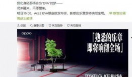 卡芙卡最新爆料新闻,揭秘娱乐圈惊人内幕