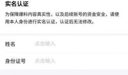 爆料能赚多少钱啊视频,揭秘“爆料赚钱”视频背后的收益秘密