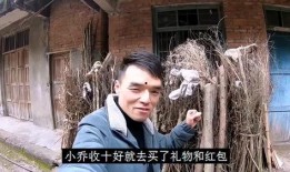 罗妹妹爆料视频,娱乐圈背后的惊人真相