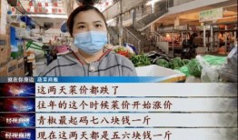 武汉菜价爆料视频,最新爆料视频揭示市场动态