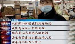武汉菜价爆料视频,最新爆料视频揭示市场动态