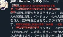 银枝内鬼爆料视频,揭秘神秘组织真实面目