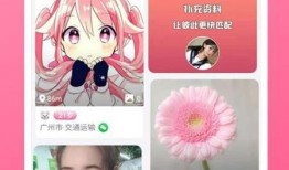 崔晋爆料视频大全下载最新,揭秘娱乐圈幕后真相