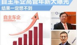 奶企高管爆料新闻视频,揭秘行业黑幕与真相