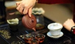 热点爆料泡茶怎么做的视频,一招掌握茶艺精髓