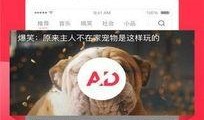 娱乐小八吃瓜视频下载安装,轻松追剧，畅享娱乐盛宴