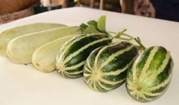 网红吃瓜.com,揭秘娱乐圈幕后故事，带你领略网络红人世界