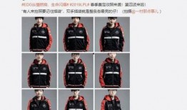 占迪爆料原视频