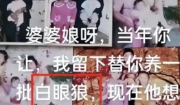 樊小慧四叔四婶爆料视频,揭秘背后惊人真相