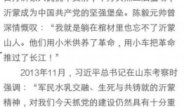 临沂头条今日爆料,揭秘背后惊人真相！