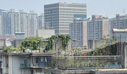 深圳小区最新爆料,业主爆料，真相令人震惊！