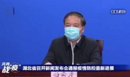 中央新闻爆料视频,最新爆料视频深度解析