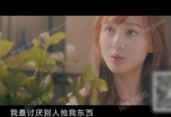 茉等花开在线观看,一场穿越时空的浪漫邂逅