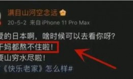 内鬼返场爆料视频大全最新,揭秘娱乐圈幕后真相