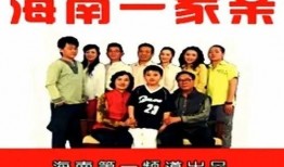 海南一家亲在线观看,共筑美好家园的温馨篇章