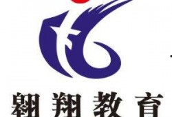 西安飞翔最新爆料,揭秘项目进展与未来规划