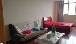 女子出租房爆料新闻事件,揭露租房行业潜规则与安全隐患