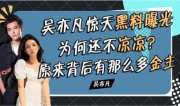 黑料官网最新爆料,最新爆料事件深度解析