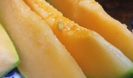 甘肃最新的瓜爆料,瓜果飘香，丰收喜讯传四方