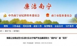 最新南宁爆料,揭秘神秘事件背后的真相