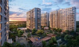 龙德井壹号最新爆料新闻