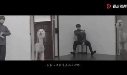 粉丝爆料林彦俊视频,精彩瞬间引热议