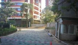 深圳小区最新爆料,业主爆料，真相令人震惊！