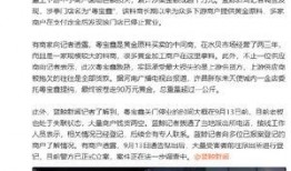 深圳爆料最新新闻事件是什么,惊曝某知名企业涉嫌违规操作，引发社会关注