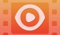 草民手机伦理在线观看,揭秘网络世界的道德边界