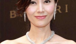 公开爆料李嘉欣事件视频,真相与争议再引热议