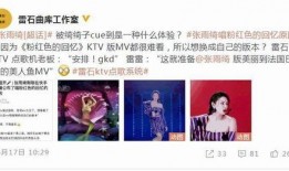 粉色回忆爆料视频大全集,揭秘爆料视频大全集背后的故事与真相