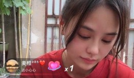 樊小慧四叔四婶爆料视频,揭秘背后惊人真相