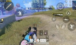 和平精英黑猫爆料视频,揭秘游戏新内容与更新动态