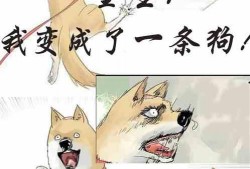 超级吃瓜小说全文阅读免费,穿越时空的瓜田传奇