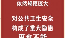 在线观看无毒,无毒享受视听盛宴