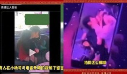 小杨嫂疯狂爆料视频全集,揭秘视频全集惊人内幕