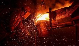 黑天鹅最新爆料视频大全,揭秘不为人知的幕后真相